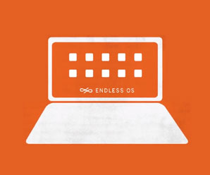 Read more about the article Integrate Endless OS with Windows | Best OS with dual boot