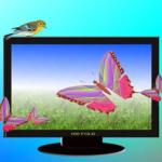 Tips and tricks for energy saving for your LED TV and other appliances