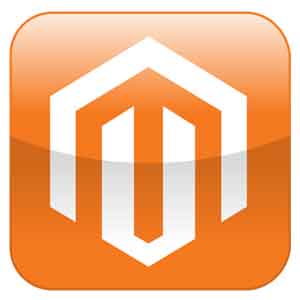 Read more about the article 8 Secrets About Outsourcing Magento eCommerce Platform