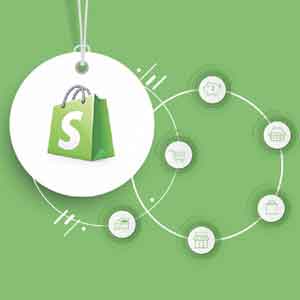 Read more about the article Choosing the Best Shopify Themes For Your Store