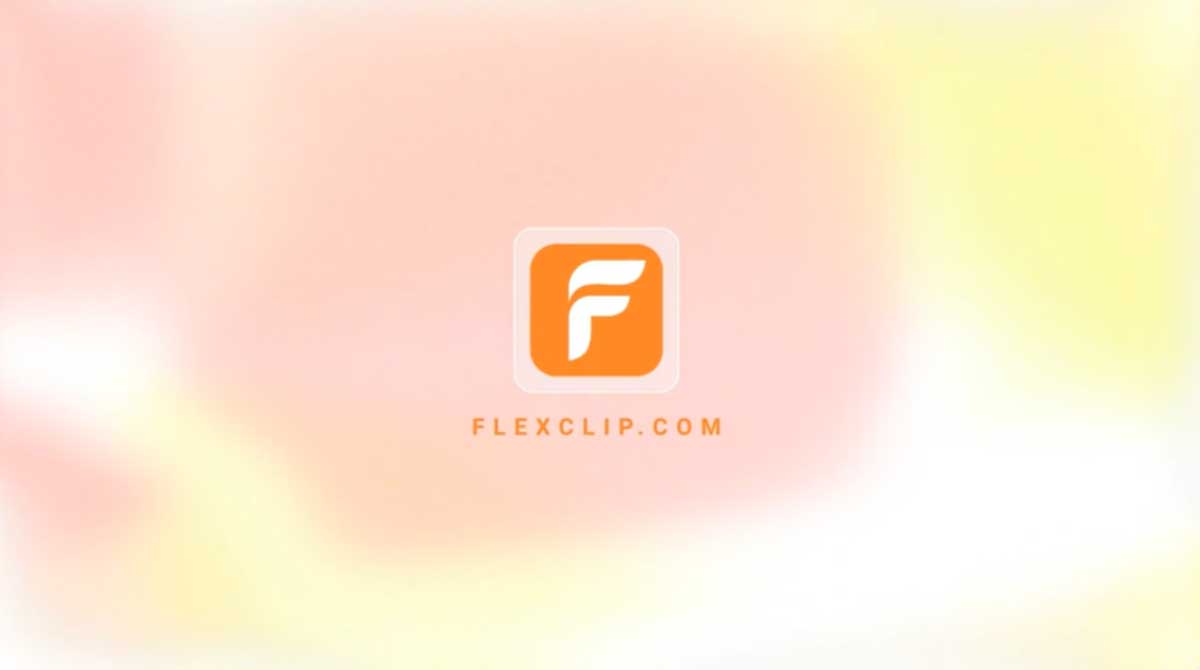 Video Image Editing flexclip